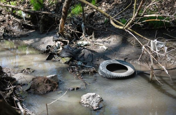Таганрогскую Большую Черепаху расчистят от загрязнений и насекомых
