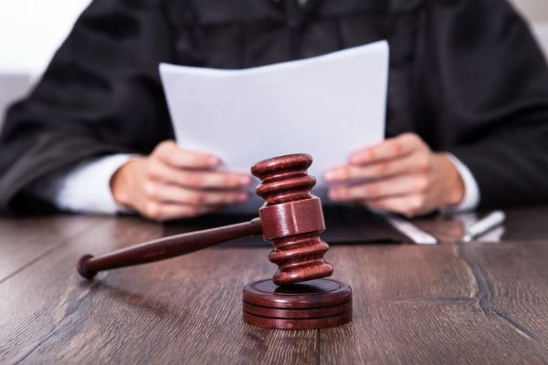 Суд вынес троим томичам приговоры за незаконную рубку леса