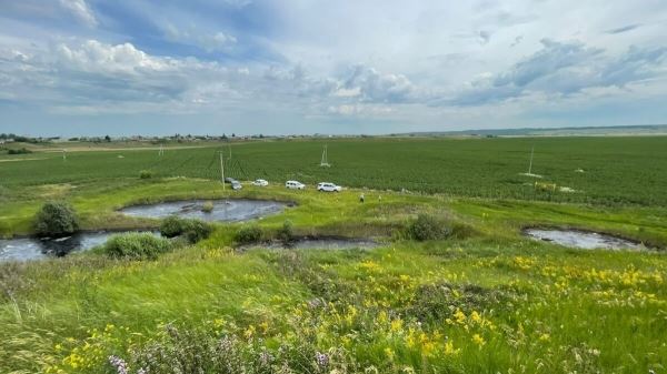 В Татарстане от нефтешламов очистят более полутора гектаров земель