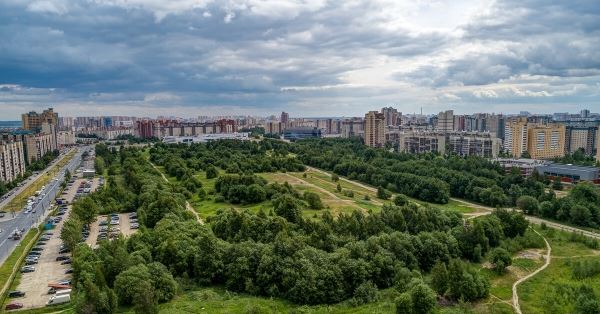 Жители Питера борются за сохранение Яблоновского Сада