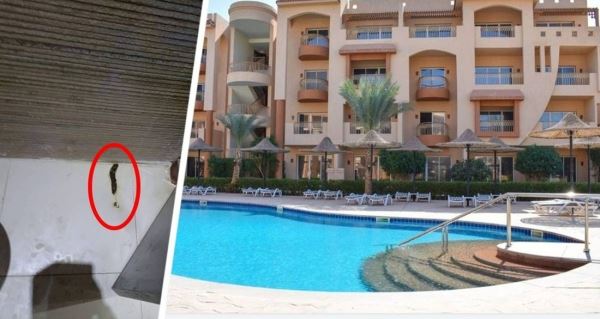Отдых в Египте превратился в кошмар с фекалиями на полу отеля