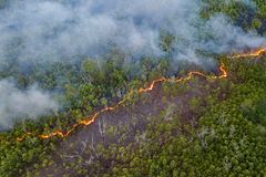В двух районах российского региона ввели режим ЧС из-за мощных лесных пожаров