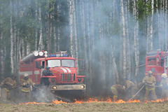 В Рязанской области локализовали два очага лесных пожаров